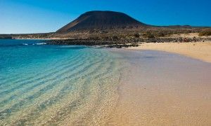 Canarie